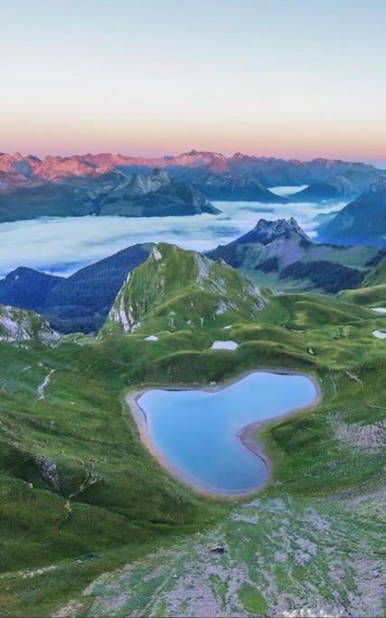 L'Escapade Montagneuse Leilighet Eaux-Bonnes Eksteriør bilde